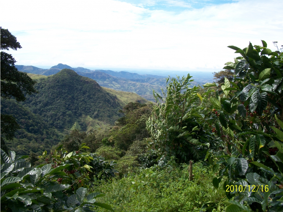 7.6 Hect. en Altura con Vista al Océano, Fortuna, Gualaca, Chiriquí - 5