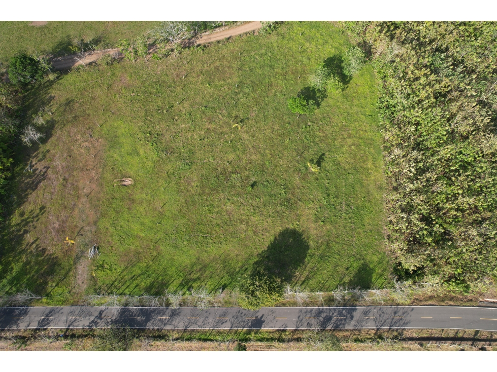 Excelente terreno, listo para construir en Pedasí, Punta Mala - 5