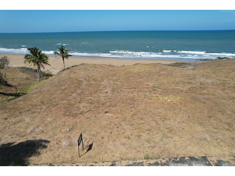 Lote frente al mar en Pedasí Una Oportunidad Única - 4