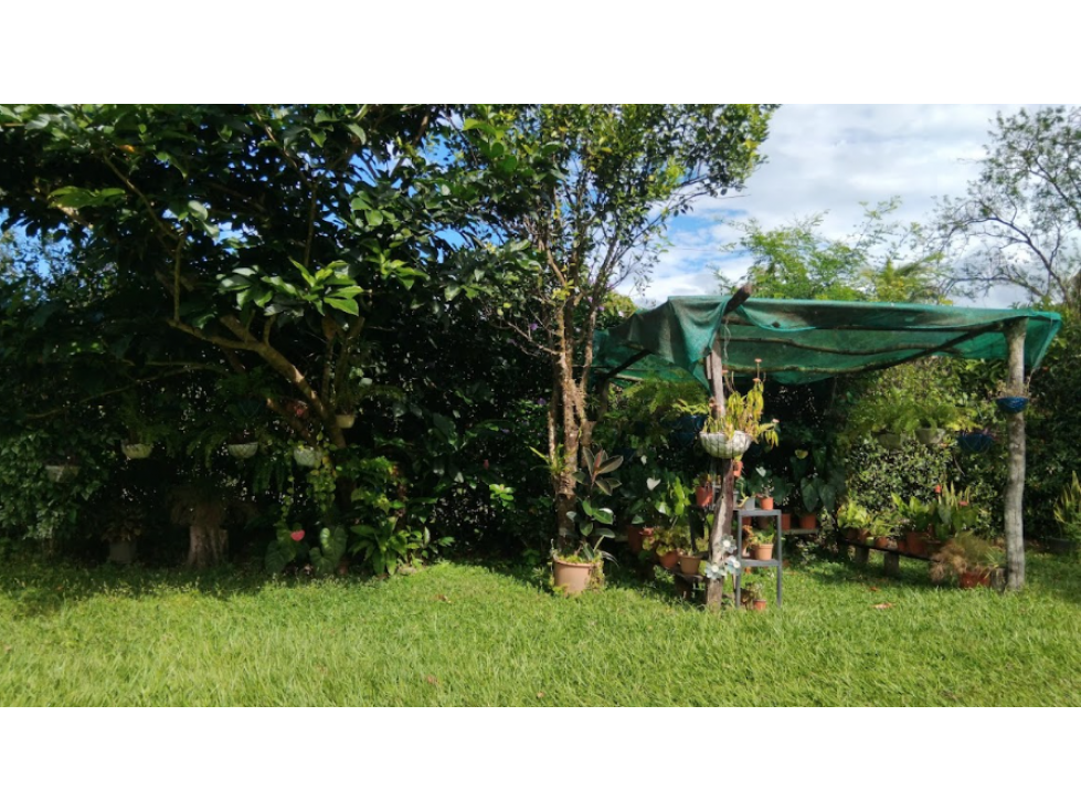 Finca de 1.2 Hectáreas con Casa, Cochea, Chiriqui, Panama