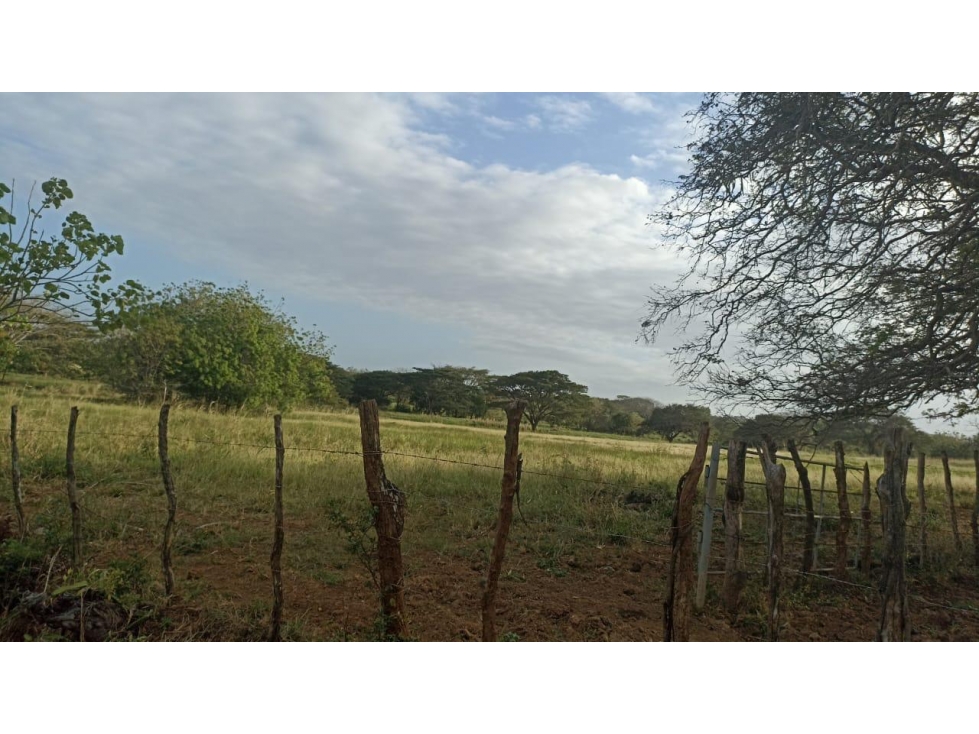 Terreno en Venta de 9.76 hectareas, Monagrillo Panama - 6