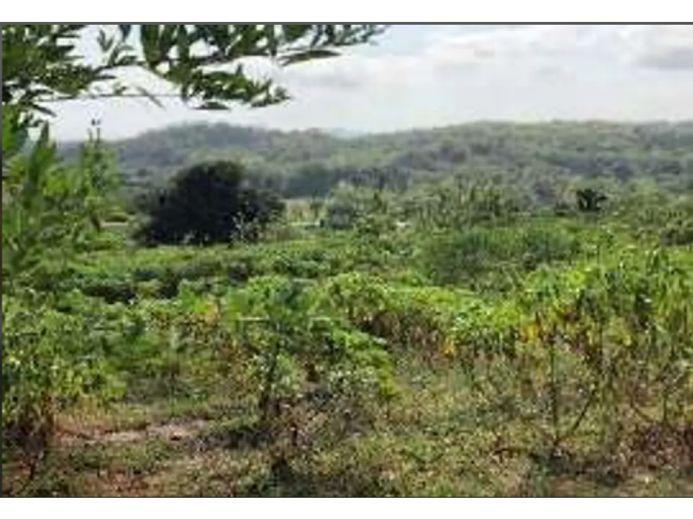 Lote en Venta CARTAGENA — foto 3