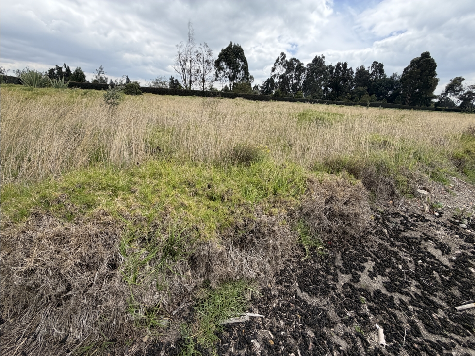 LOTE EN VENTA VIA SIBERIA FUNZA - 1