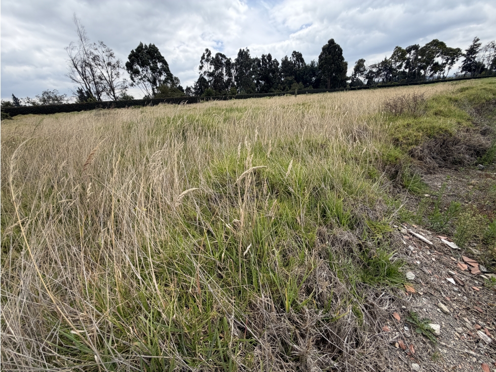 LOTE EN VENTA VIA SIBERIA FUNZA - 2