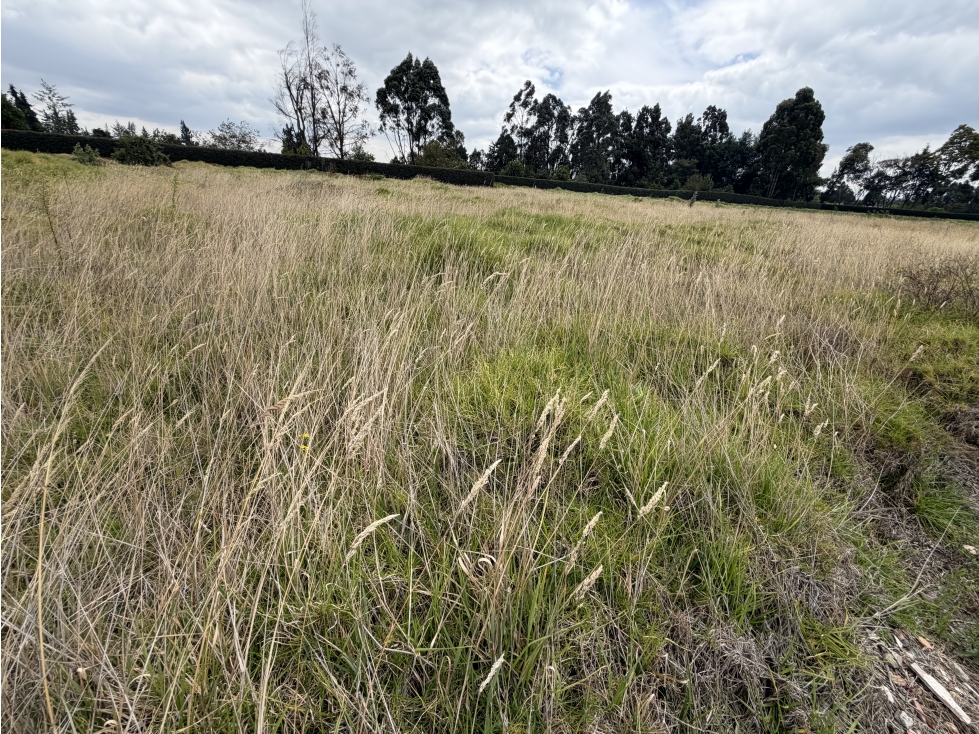 LOTE EN VENTA VIA SIBERIA FUNZA - 3