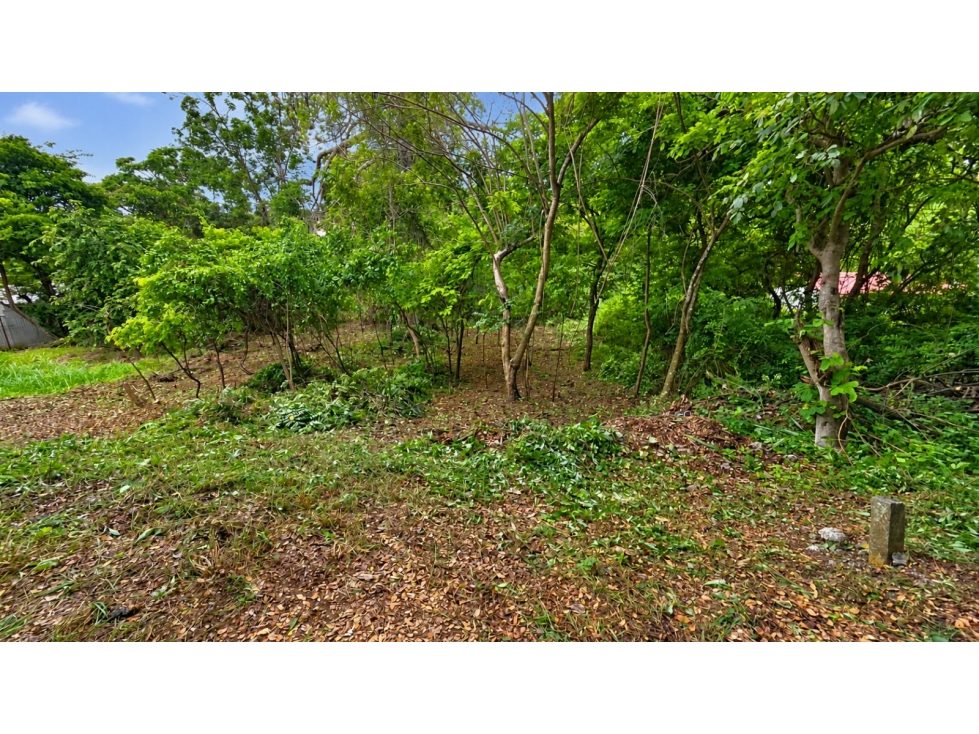 EN VENTA TERRENO LAGO DE CAPEIRA - VÍA A DAULE (Jkcal) - 2