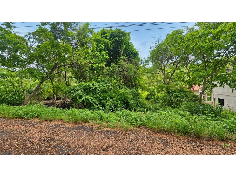 EN VENTA TERRENO LAGO DE CAPEIRA - VÍA A DAULE (Jkcal) - 3