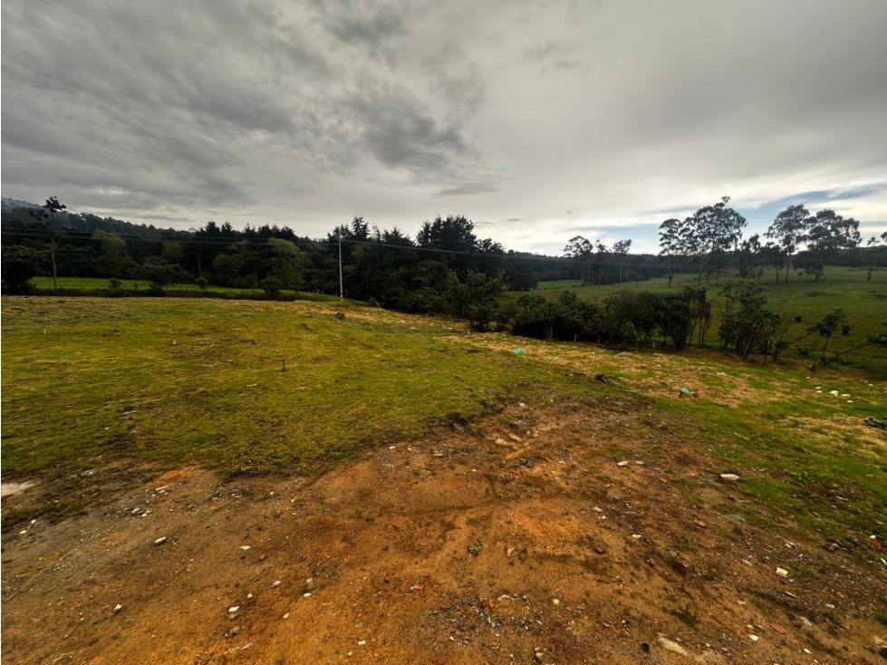 Venta lote alto de las palmas