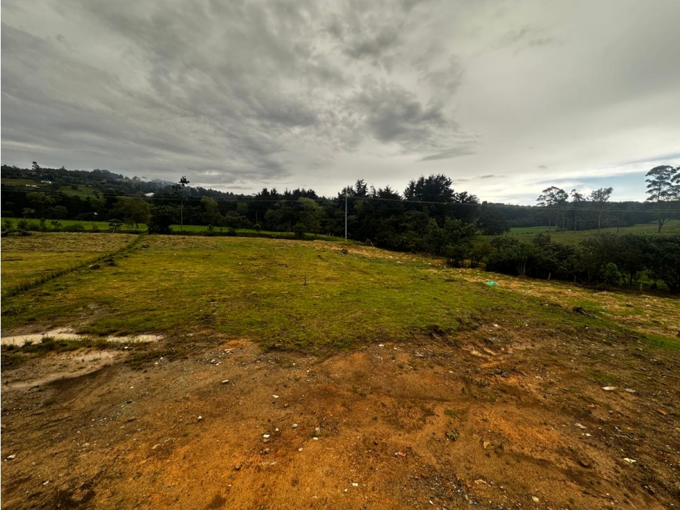 Venta lote alto de las palmas — foto 2