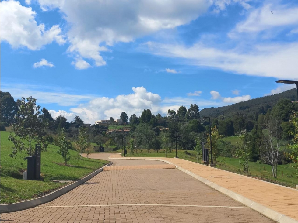 Hermoso lote en la acuarela, alto de las palmas — foto 2