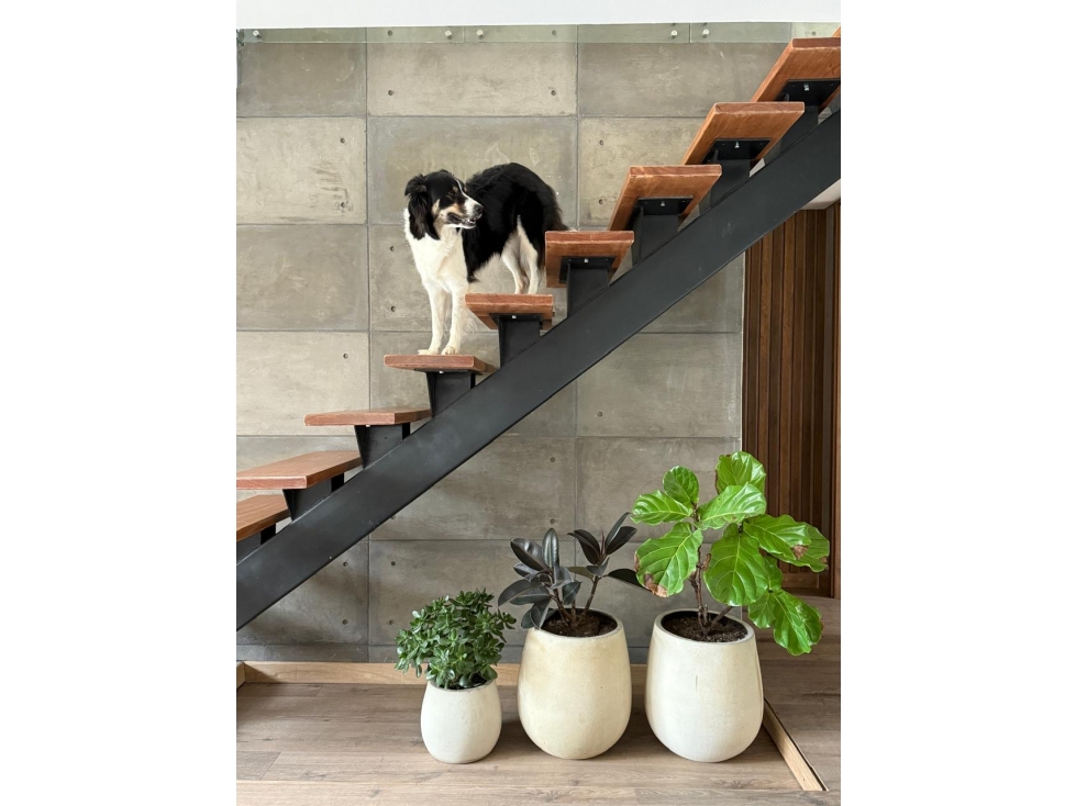 Hermosa casa, alto de las palmas (vereda el perico) — foto 2