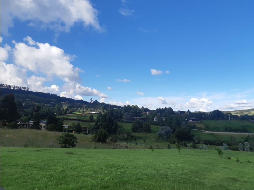 Hermoso lote en la acuarela, alto de las palmas — foto 3