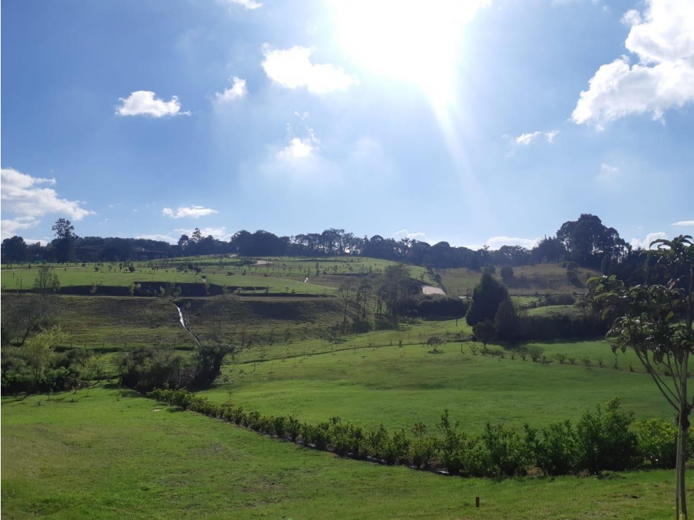 Hermoso lote en la acuarela, alto de las palmas — foto 4