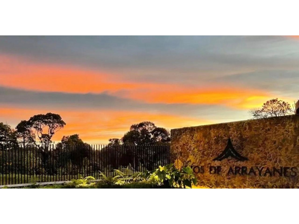Hermoso lote en la acuarela, alto de las palmas — foto 6