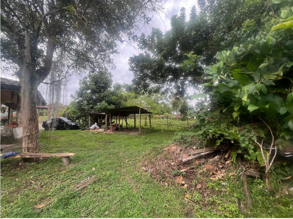 Espectacular lote Avenida centenario — foto 4