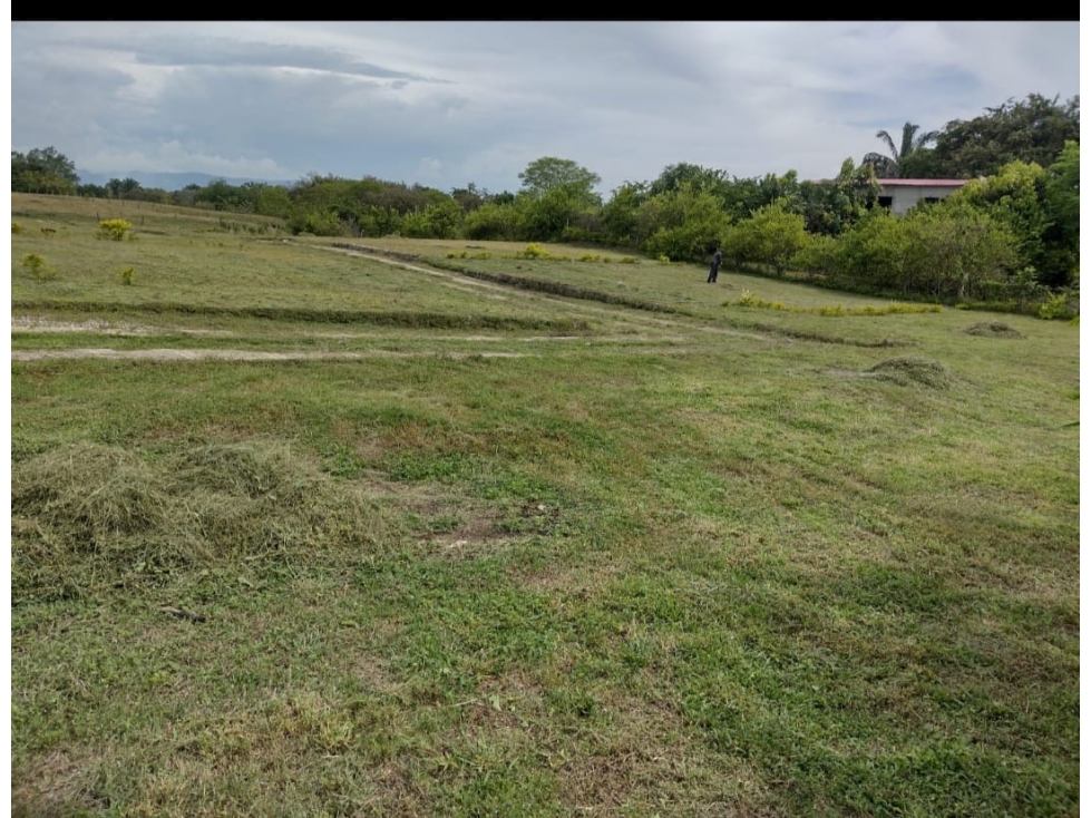 lote condominio campestre Altagracia - 6