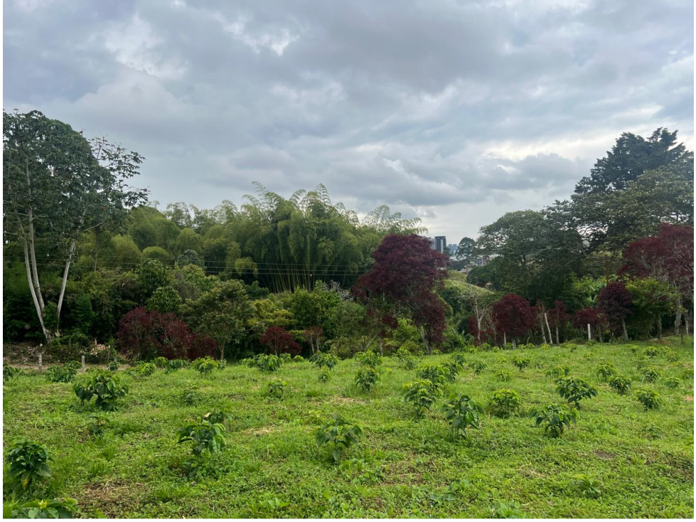 Espectacular lote Avenida centenario — foto 6