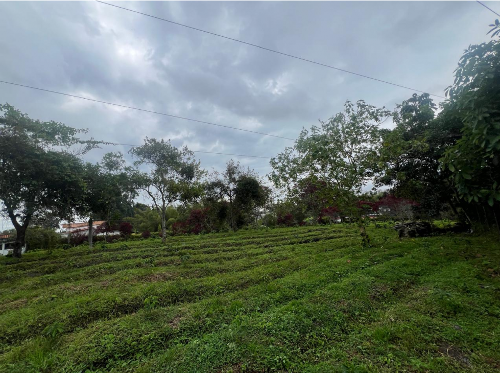 Espectacular lote Avenida centenario