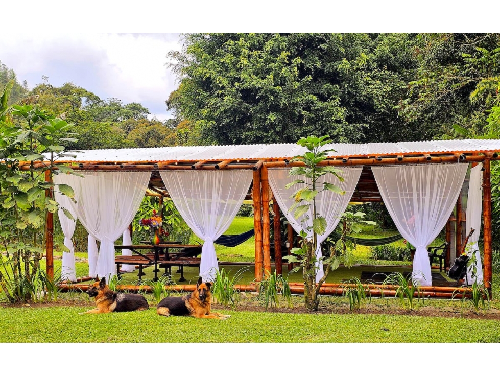 Oportunidad de Inversión en Eco-Lodge Frente al Río en Salento - 5