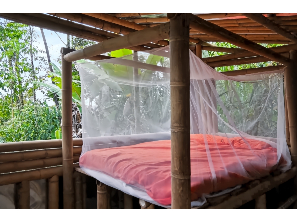 REDUCIDO! 200 Finca between Quebrada Negra & Cordoba — foto 6