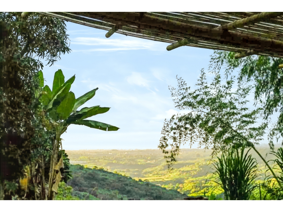 REDUCIDO! 200 Finca between Quebrada Negra & Cordoba — foto 4