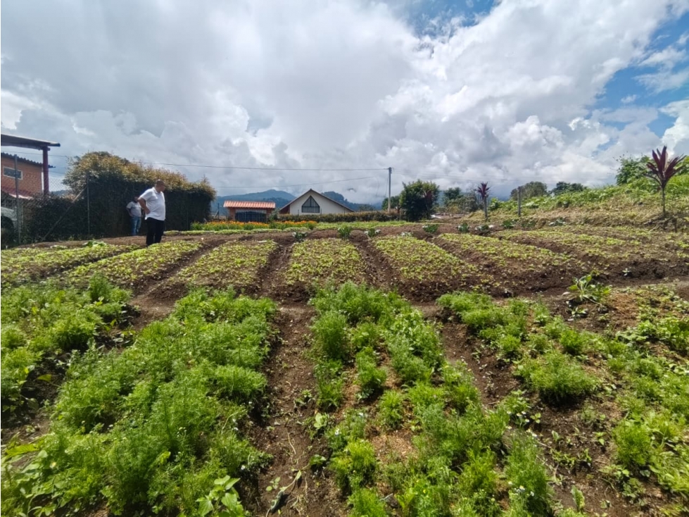 Lote, corregimiento la florida, Risaralda, Eje cafetero colombiano