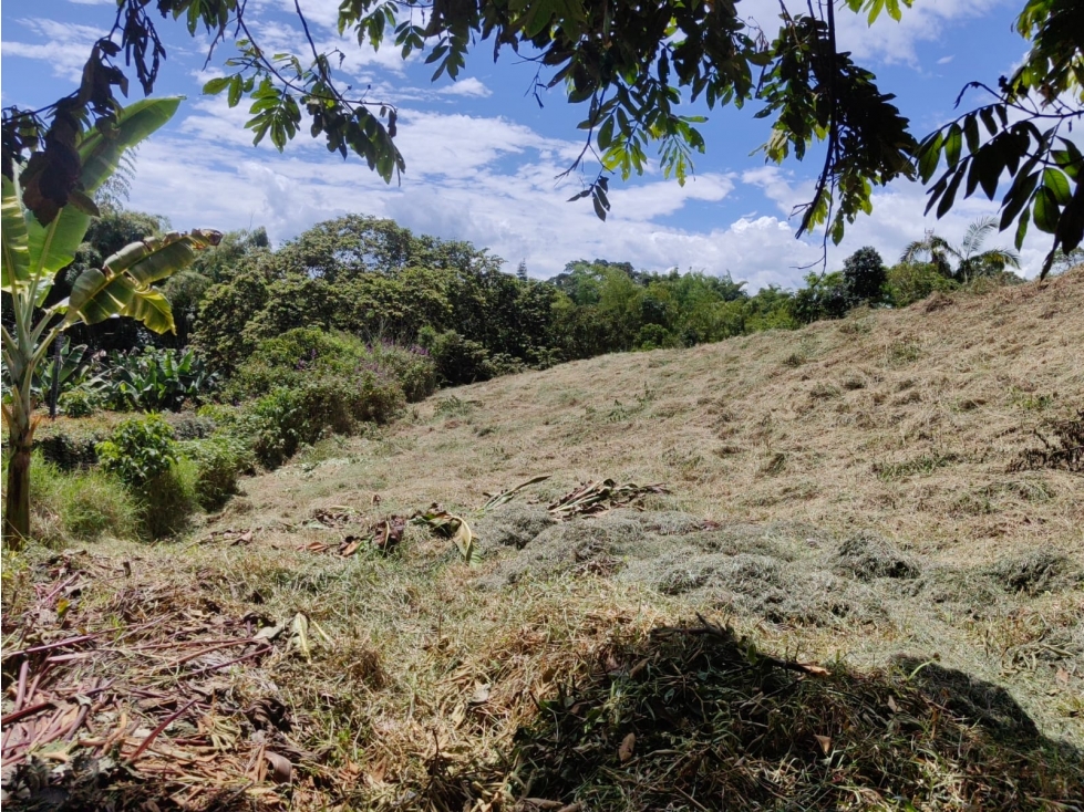 Lote de 4.074 Mts2 en el Madrigal — foto 2