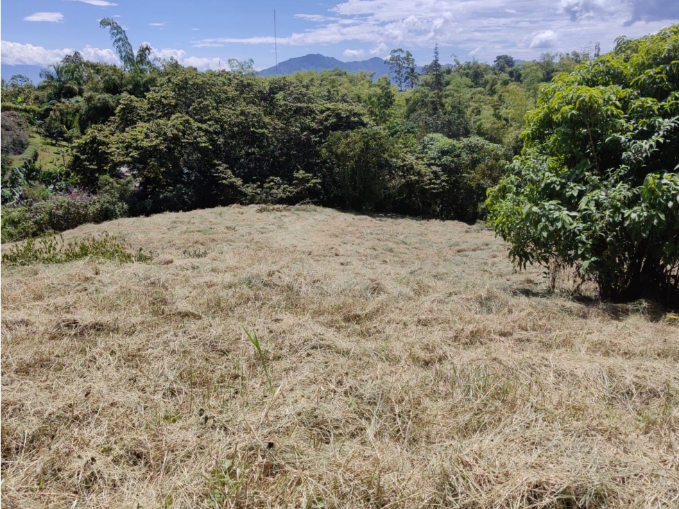 Lote de 4.074 Mts2 en el Madrigal — foto 3