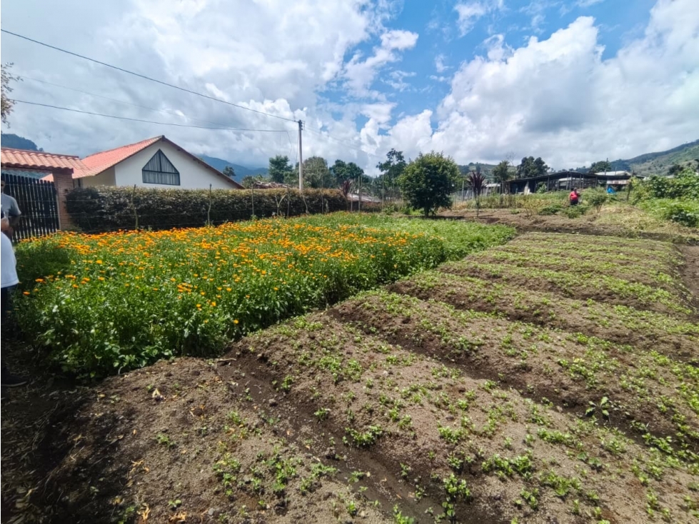 Lote, corregimiento la florida, Risaralda, Eje cafetero colombiano — foto 3