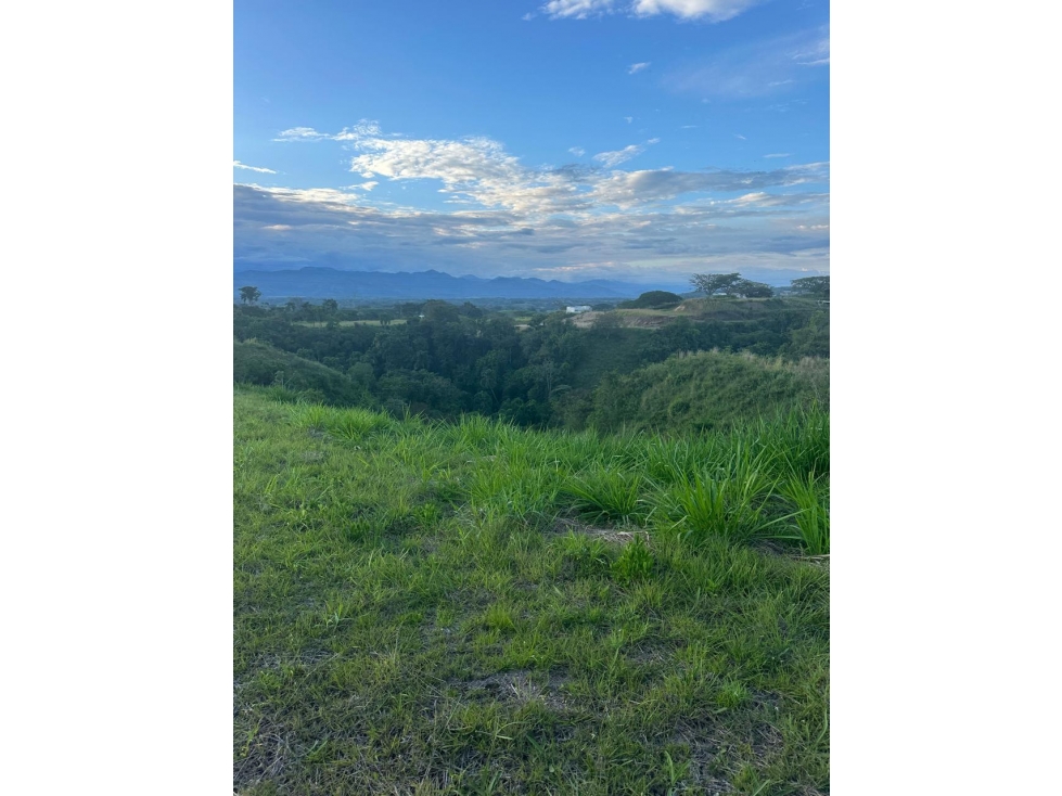 Oferta, Lote en Cerritos, Pereira — foto 4