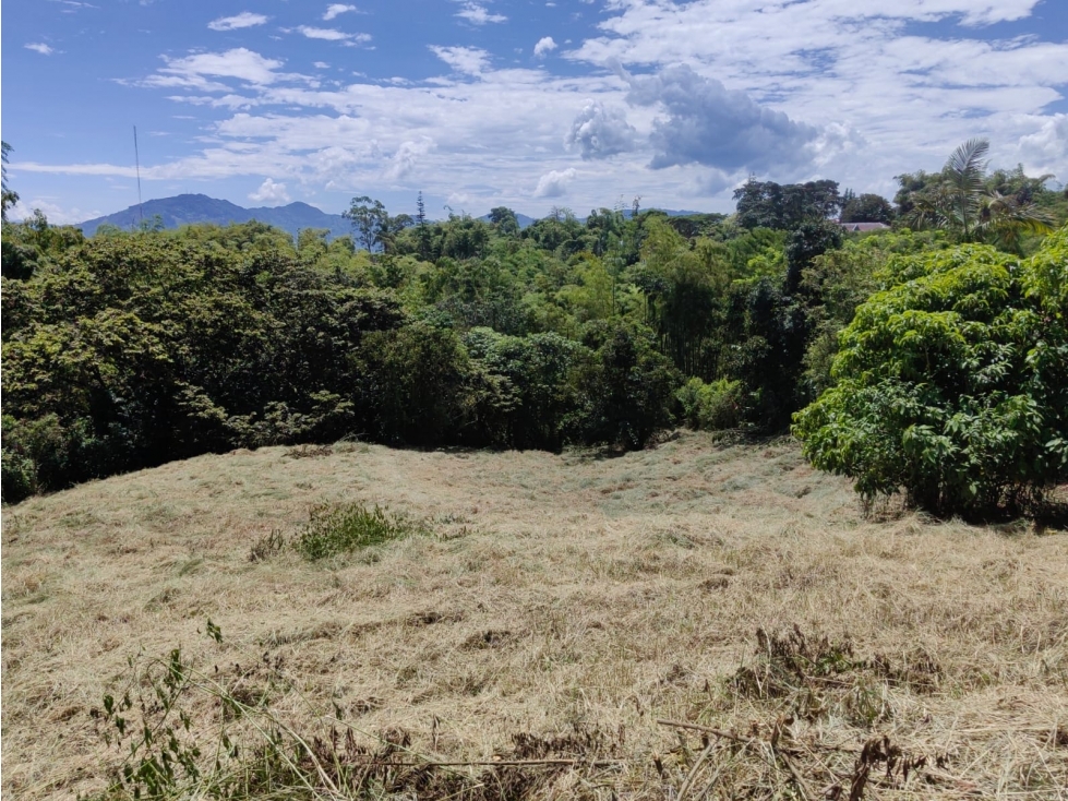 Lote de 4.074 Mts2 en el Madrigal — foto 4