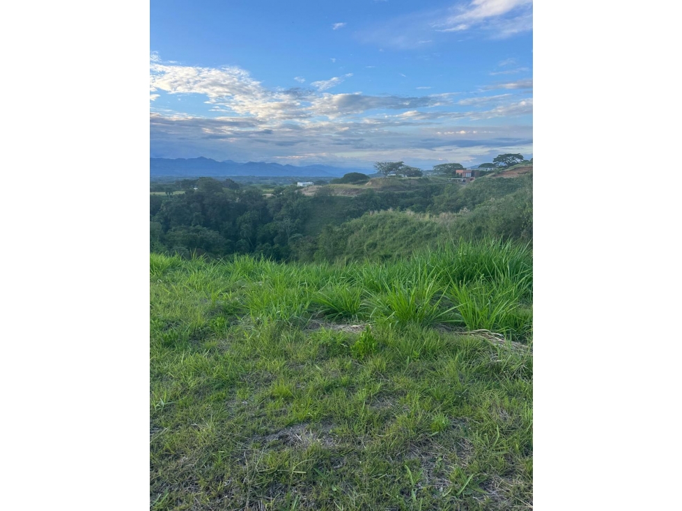 Oferta, Lote en Cerritos, Pereira — foto 5