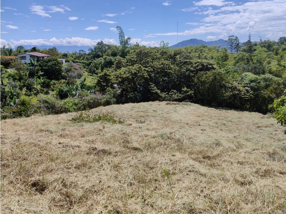 Lote de 4.074 Mts2 en el Madrigal — foto 5
