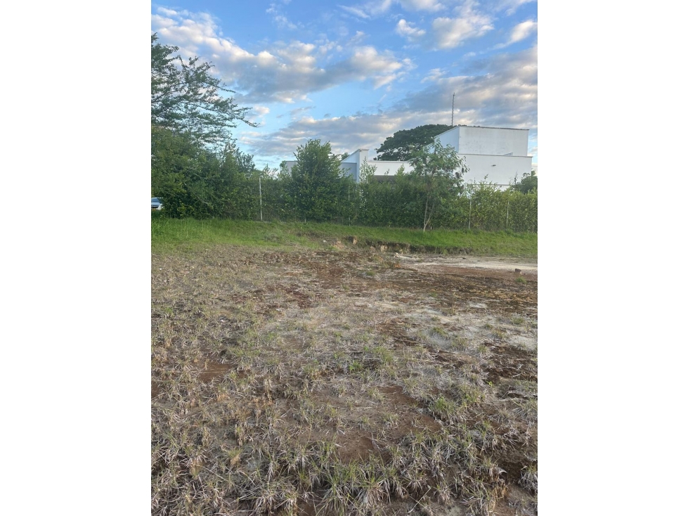 Oferta, Lote en Cerritos, Pereira — foto 6