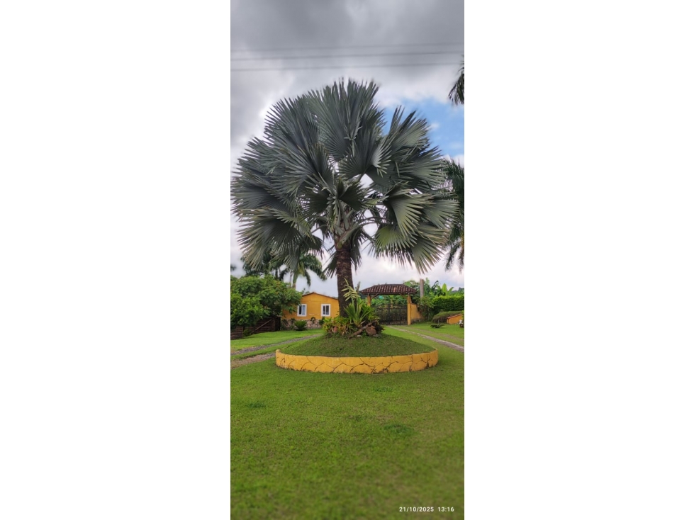 Se vende espectacular finca en Quimbaya - 5