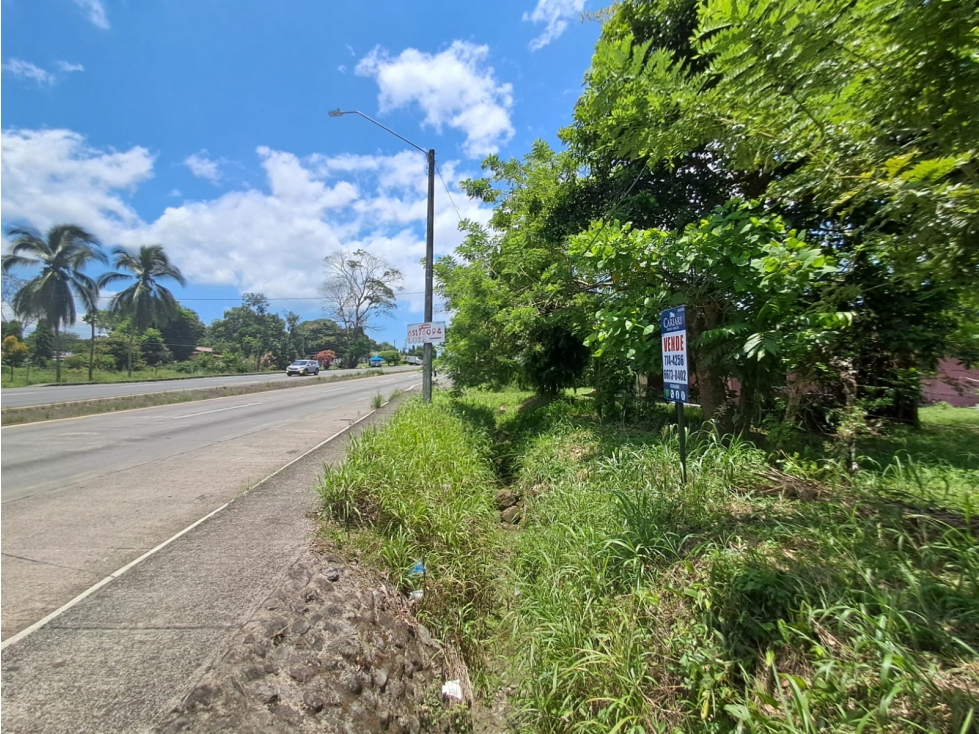 Lote Venta Zona Comercial en Bugaba Vía Interamericana - 1