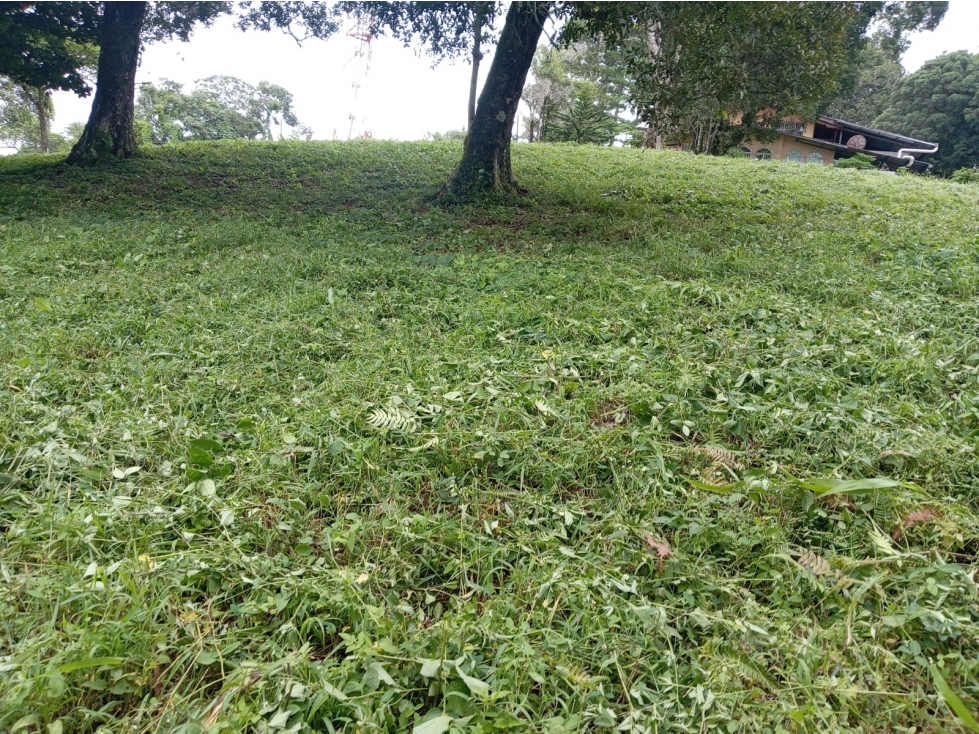 Finca de 10,910 m² en Volcán Centro, con acceso a la vía principal - 6