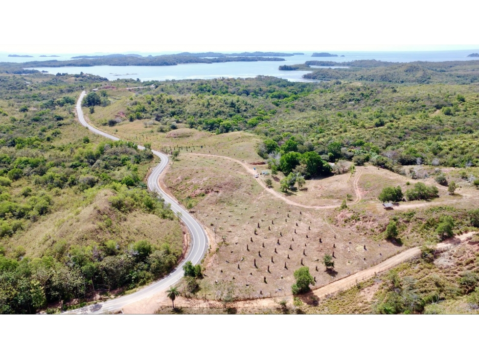 Finca de 15 Ha en el área de Playa Hermosa Horconcitos Chiriquí - 1