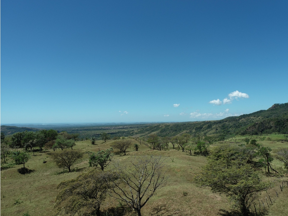 Finca en Venta Alto Boquete Vía Jaramillo