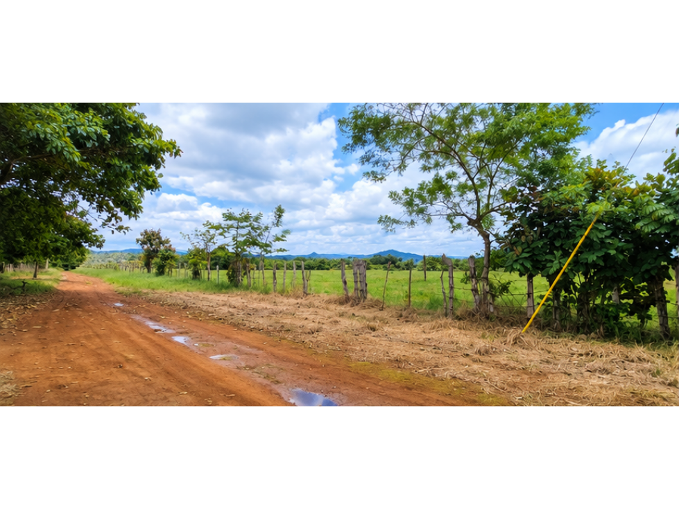 Finca de 2.6 Hectáreas | San Pablo, David Después de Feduro — foto 2