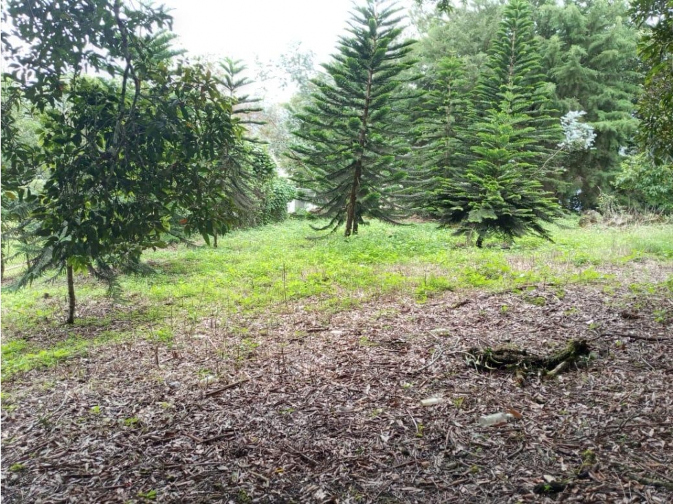 Finca de 10,910 m² en Volcán Centro, con acceso a la vía principal - 5