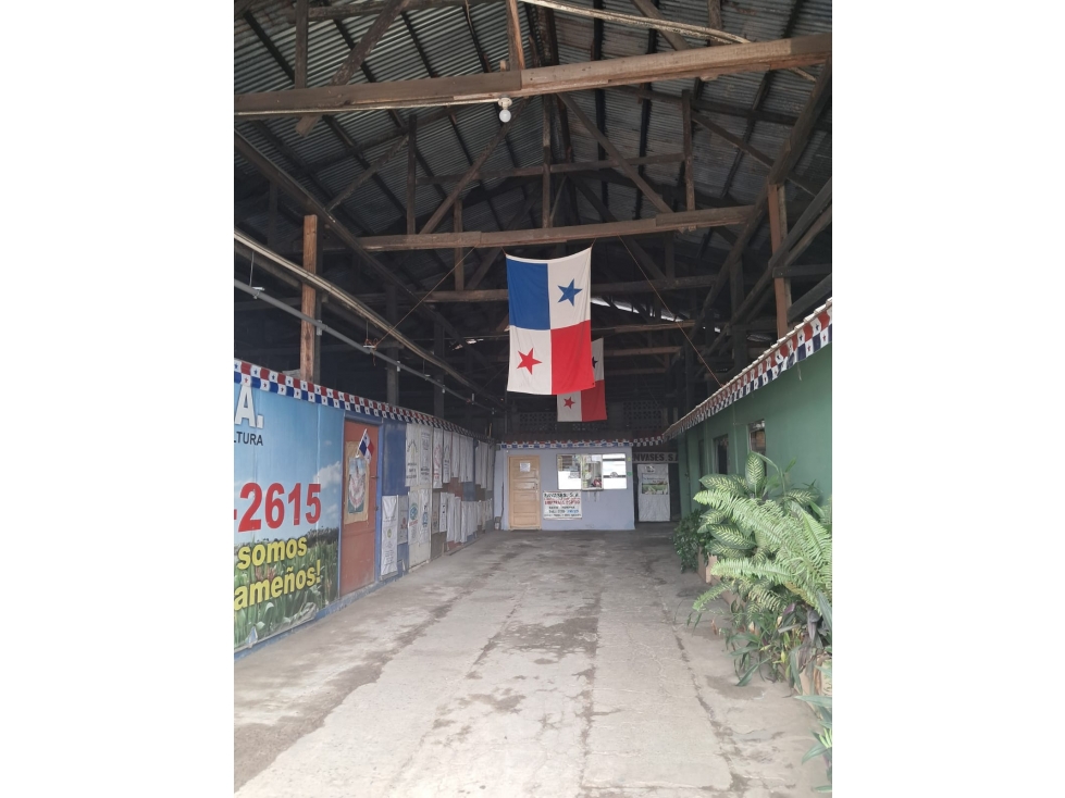 Bodega Comercial sobre la Vía Interamericana - 3