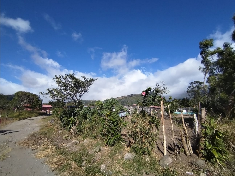 Lote de 1942.84 M2 Paso Ancho Volcán - 2