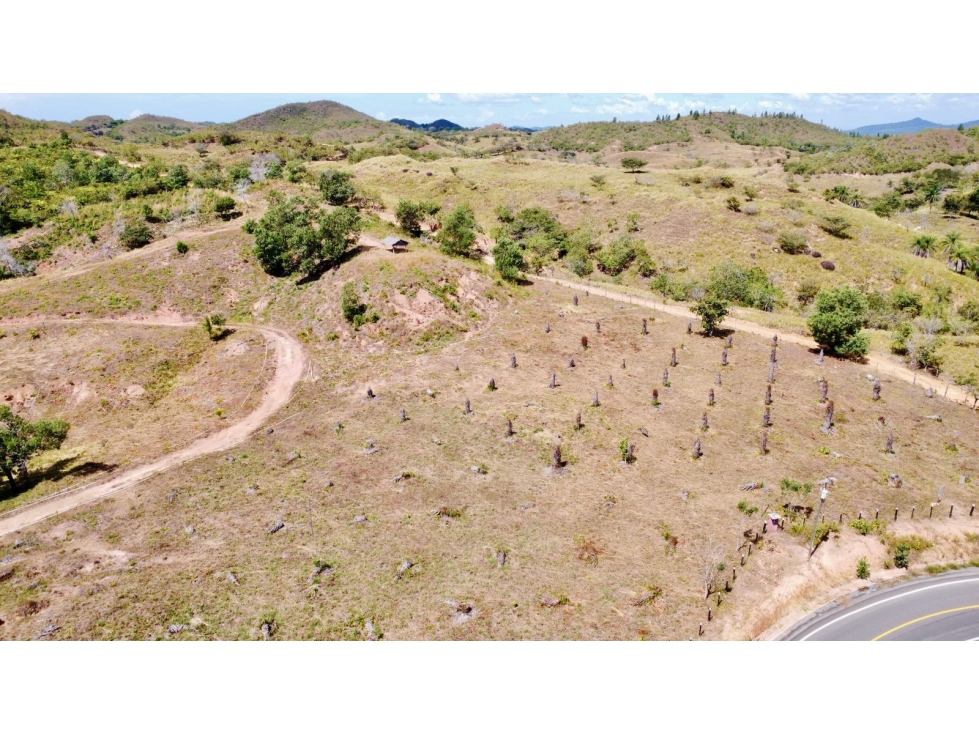 Finca de 15 Ha en el área de Playa Hermosa Horconcitos Chiriquí - 2