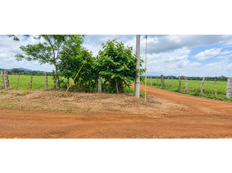 Finca de 2.6 Hectáreas | San Pablo, David Después de Feduro — foto 4