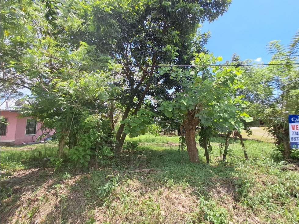 Lote Venta Zona Comercial en Bugaba Vía Interamericana - 3