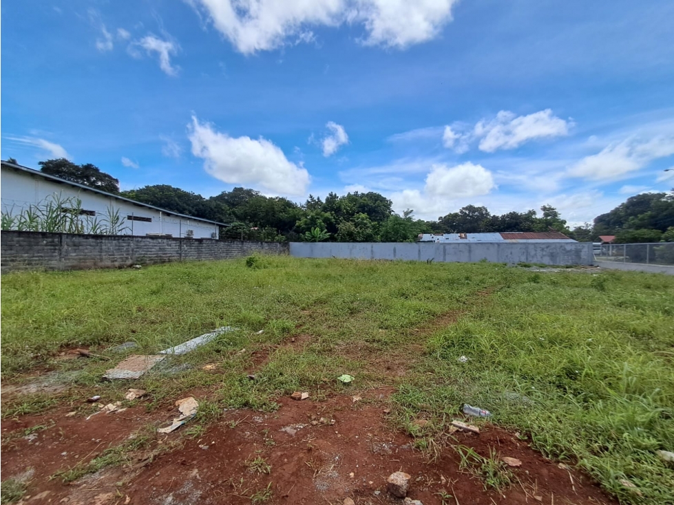 Lote Comercial Alquiler Las Lomas David - 3