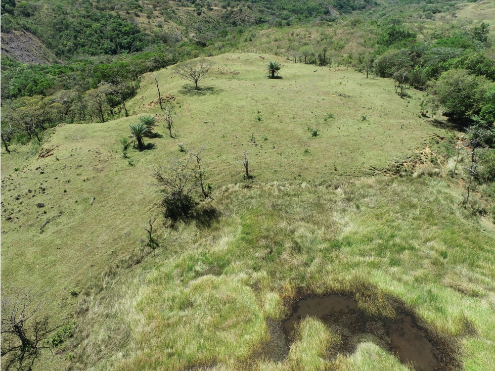 Finca en Venta Alto Boquete Vía Jaramillo - 3