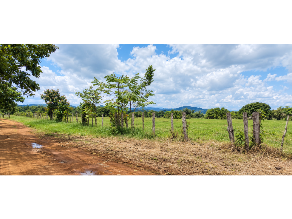 Finca de 2.6 Hectáreas | San Pablo, David Después de Feduro — foto 6