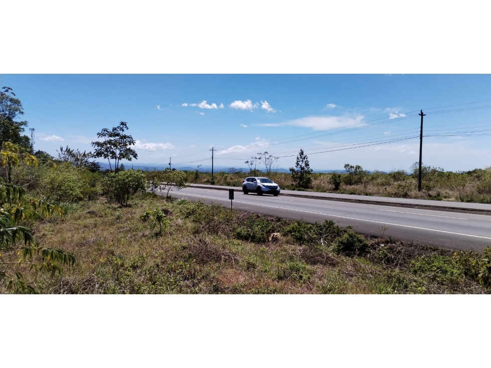TERRENO DE 5,000 m² EN VENTA ALTO BOQUETE SOBRE LA VIA BOQUETE. - 3